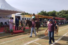 HISP-Annual-Sports-Day-3