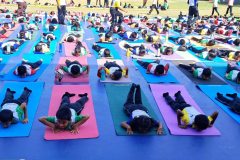 Yoga-Day-2025-6