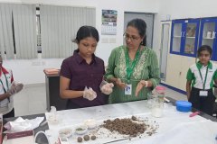 World-Environment-Day-2026-6