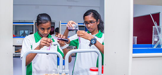 best international school in OMR