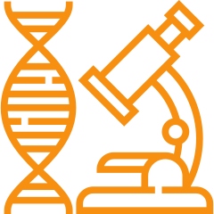 Igcse schools in Chennai